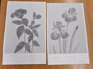 花の写生会の参考作品画像