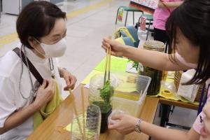布を染める様子