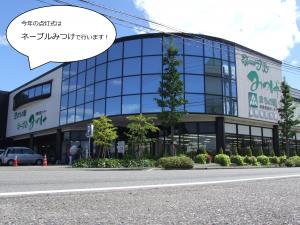 点灯式の開催場所ネーブルの写真