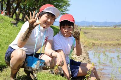 土だらけの手のひらを見せる児童たち