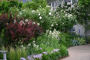 季節の花々がとても華やかです。