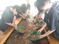 修学3