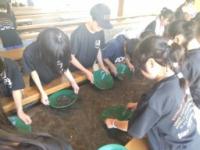 修学4