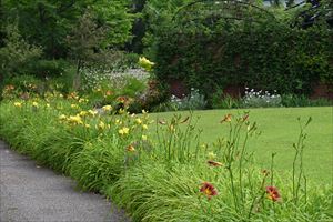 芝生広場の様子