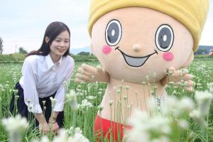 新潟県広報コンクールの審査員奨励賞の作品