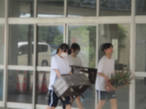 ﾌﾗﾜｰﾛｰトﾞ撤収②