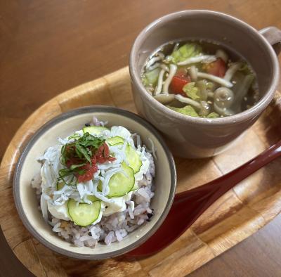 お豆腐しらす丼