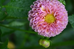 ウエディングガーデンの様子
