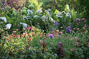 ボーダーガーデン