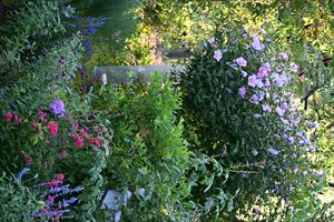 ボーダーガーデン