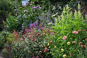 ウェディングガーデン