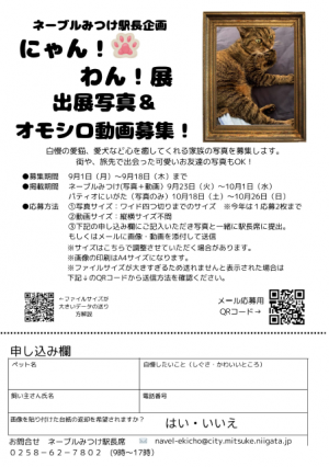 募集チラシ