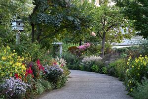 ボーダーガーデンの様子