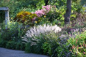 ボーダーガーデンの様子