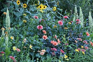 ウェディングガーデンの様子