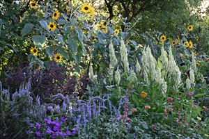 ウェディングガーデンの様子