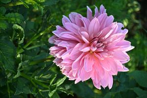 ウェディングガーデンの様子