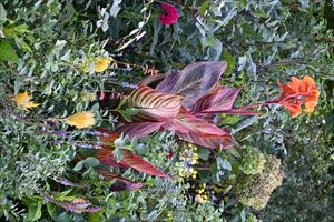 ウェディングガーデンの様子