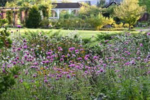 ロックガーデンの様子