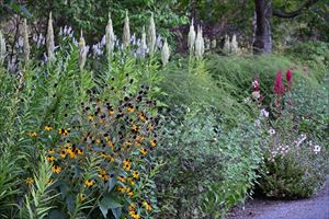 メドウガーデンの様子