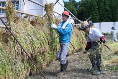 はさがけをする児童