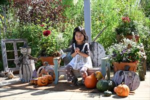ハロウィンディスプレイ