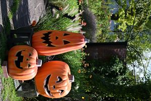 ハロウィンディスプレイ