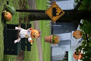 ハロウィンディスプレイ