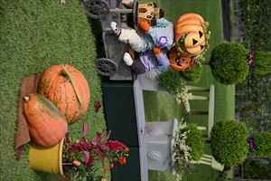 ハロウィンディスプレイ