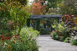 ボーダーガーデンの様子