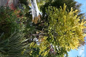 ウェディイングガーデンの様子