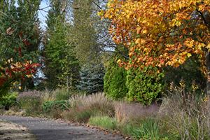 ガーデンテント付近