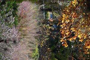 ガーデンテント付近