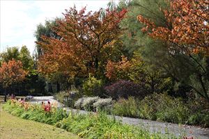 メドウガーデン