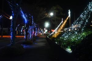 市役所前のイルミネーションの様子