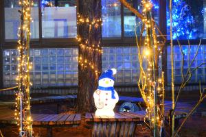 ケアプラザ見附イルミネーションの様子