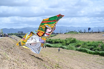 空中で絡まり合う大凧の様子