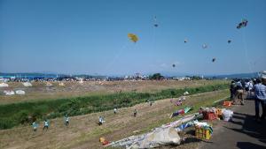 凧合戦協会　画像