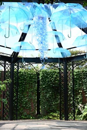 サマーディスプレイ