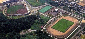 運動公園前景