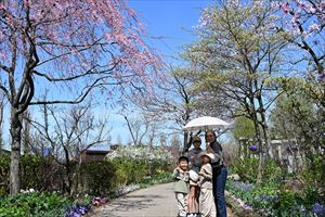 ボーダーガーデンの様子