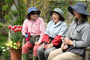 ボーダーガーデン夏エリア