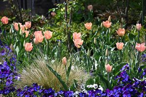 メドウガーデン