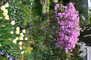 ウエディングガーデン