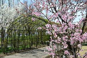 アイアンアーチ付近