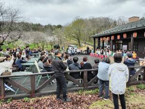 市民の森の観桜