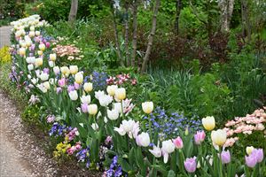 ボーダーガーデン