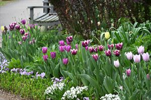 ウエディングガーデン