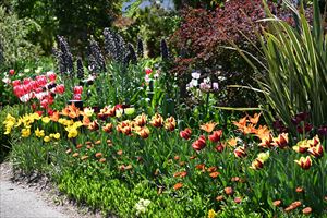 ウエディングガーデン