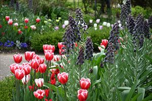 ウエディングガーデン